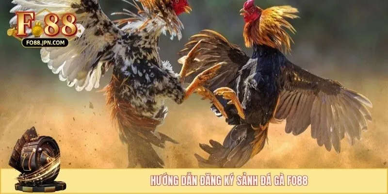 Hướng dẫn đăng ký sảnh đá gà FO88